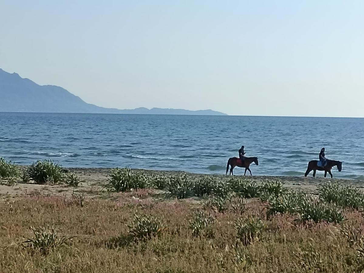 Pozzuoli-Licola Mare Apartment Екстериор снимка